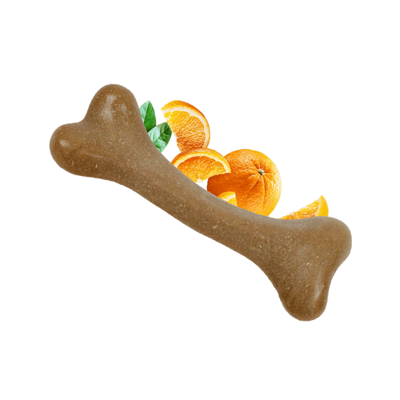 Os à Mâcher pour Chiens Goût Orange - Dashi Fruity Bones, Friandise Naturelle et Durable